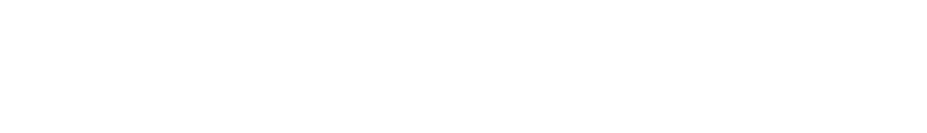 The Travel Consulting Group